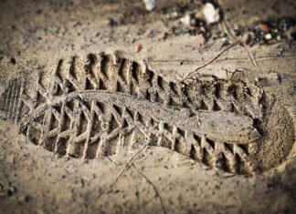 Testy i ocena umiejętności