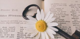 Tłumaczenia i usługi lingwistyczne
