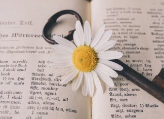 Tłumaczenia i usługi lingwistyczne