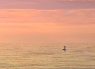 Trendy w projektowaniu interfejsów użytkownika