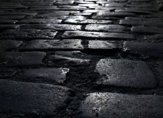 Na jakim podłożu sadzić rośliny akwariowe? Na jakim podłożu sadzić rośliny akwariowe?