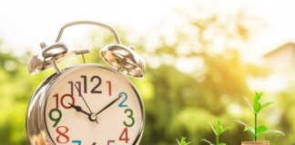 Zarządzanie czasem i priorytetami