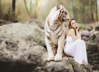 Ubezpieczenia i ochrona majątku