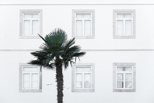 Windows Windows