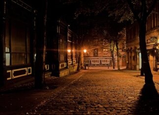 Czy żółw musi mieć lampę?