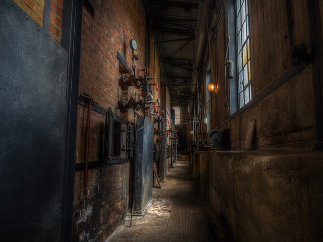 Co lepsze brykiet torfowy czy drzewny? Co lepsze brykiet torfowy czy drzewny?