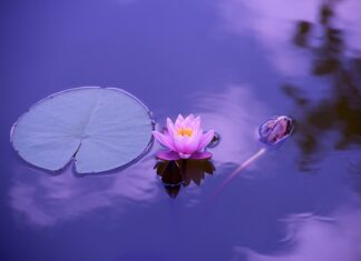 Techniki relaksacyjne i medytacja