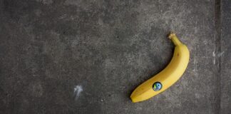 Wymagania kwalifikacyjne