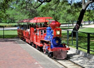 Testament i dziedziczenie