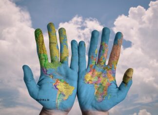 Co zrobić aby polepszyć ziemię?