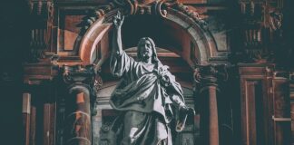 Czy Bell jest w Rossmanie?