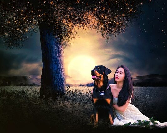 Jak przebrać dziewczynkę za Wednesday? Jak przebrać dziewczynkę za Wednesday?