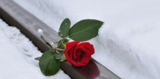 Jak się odmienia imię Maria?