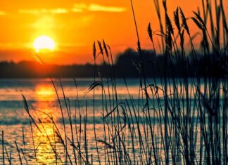 Od jakiego instrumentu zacząć? Od jakiego instrumentu zacząć?