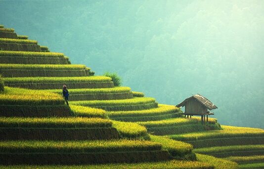 Za co przebrać 8 latka na bal karnawałowy? Za co przebrać 8 latka na bal karnawałowy?