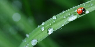 Z jakiej firmy kupić pościel? Z jakiej firmy kupić pościel?