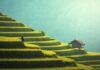 Kiedy jest bal przebierańców w szkole? Kiedy jest bal przebierańców w szkole?
